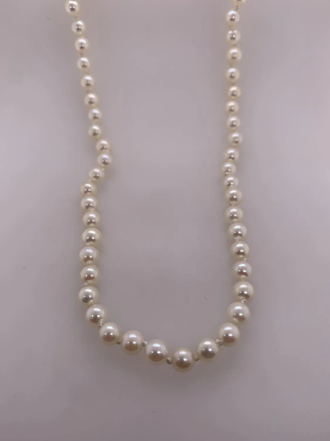 Akoya Cultured Pearl Necklace