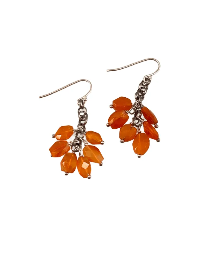 Sterling Carnelian Fringe Drop Earrings