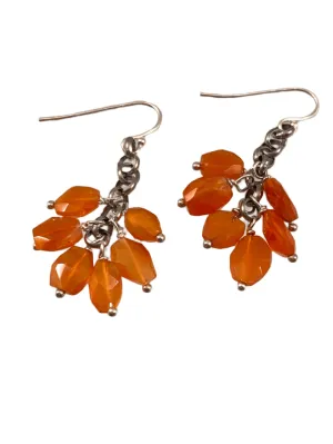 Sterling Carnelian Fringe Drop Earrings