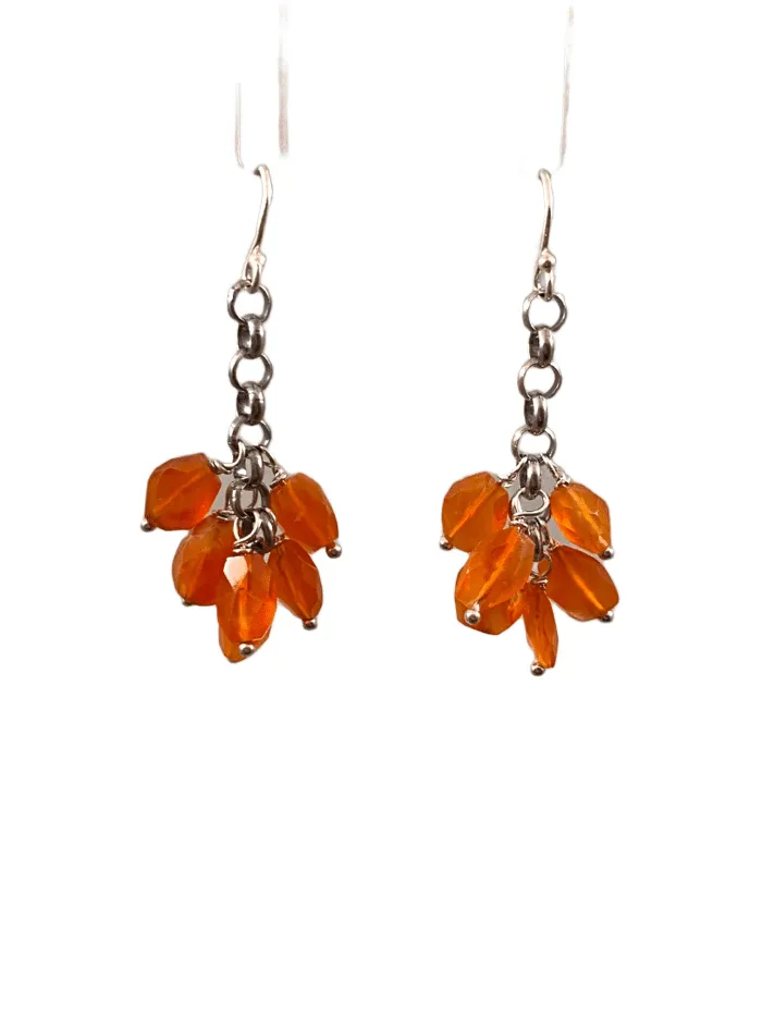 Sterling Carnelian Fringe Drop Earrings